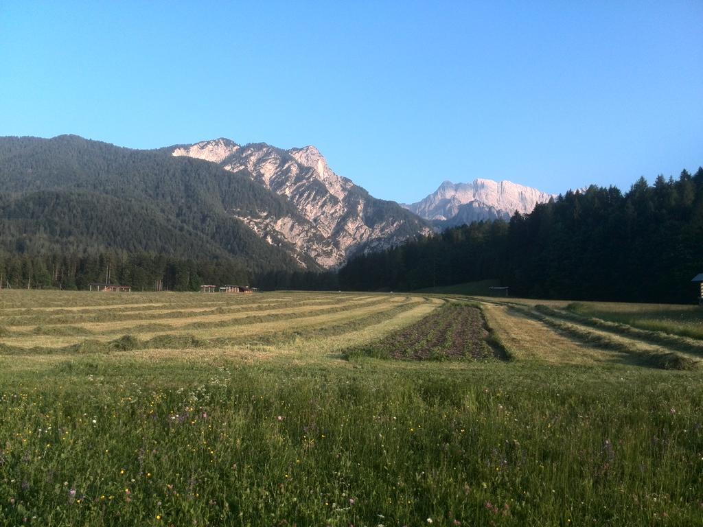 Pod Ponco Apartments Kranjska Gora Luaran gambar